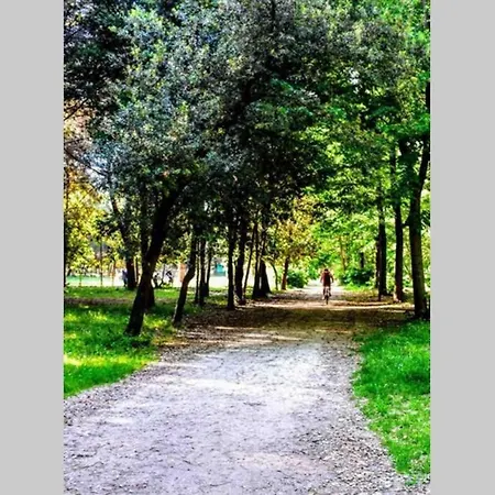 Nel Cuore Di * 维亚雷焦