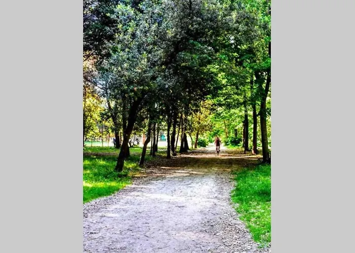 Nel Cuore Di * Viareggio